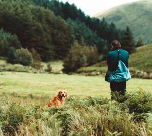Keeping Your Dog Active When It’s Too Hot Outside