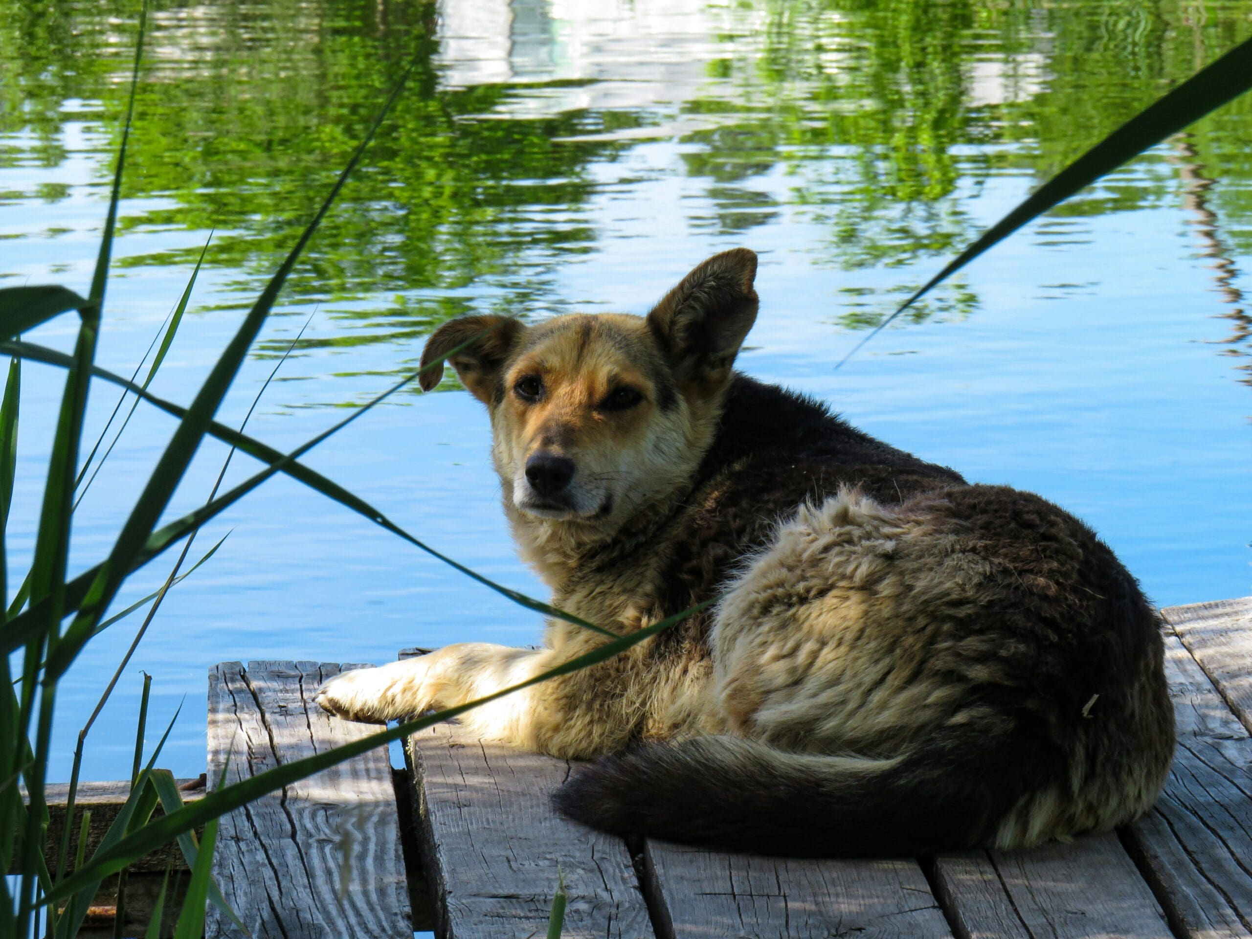 Beat the Heat: Signs of Overheating and How to Prevent It