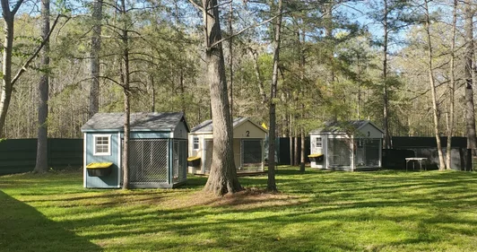 Dog Kennels and Obedience Training, What Responsible Dog Owners Should Know