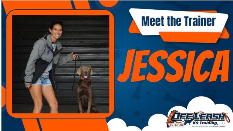 Maddy Yoder — Off Leash K9 Training of Wilmington