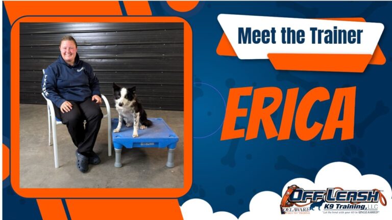 Erica Tillger — Off Leash K9 Training of Wilmington